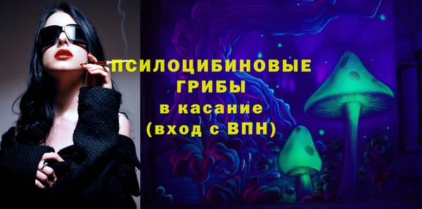 ПСИЛОЦИБИНОВЫЕ ГРИБЫ Заволжье