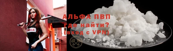 прущие грибы Заволжск