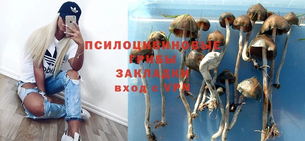 прущие грибы Заволжск