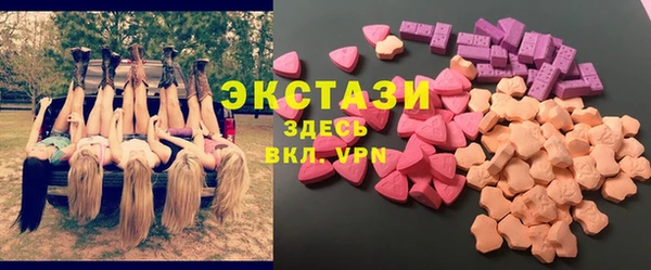 стафф Ельня