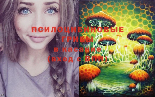 гашик Елабуга