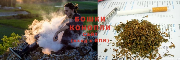 шишки Заводоуковск