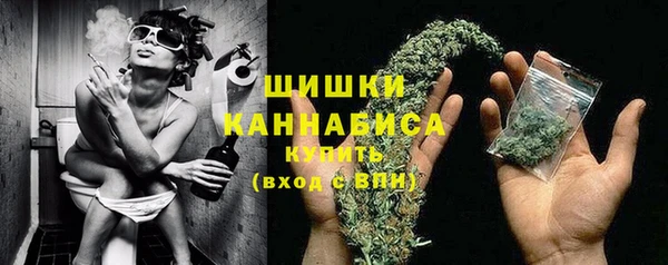 шишки Заводоуковск
