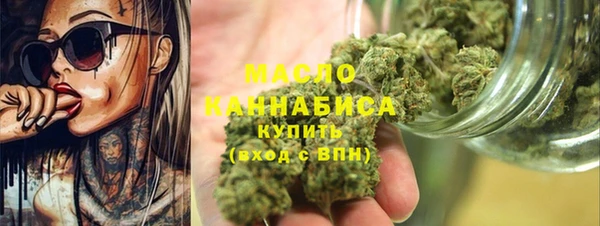 стафф Ельня