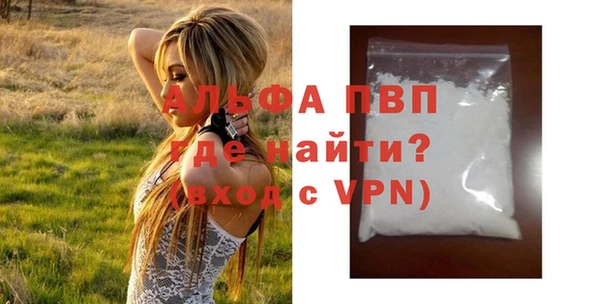 стафф Ельня