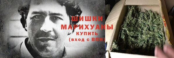 шишки Михайловск